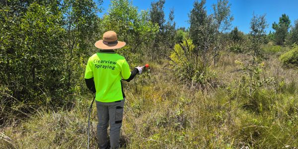 Dealing with pasture re-growth, Spraying Lantana, Giant Rats Tail Grass,
Parthenium,Fire Weed