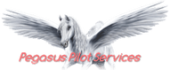 Pegasus Pilot Services