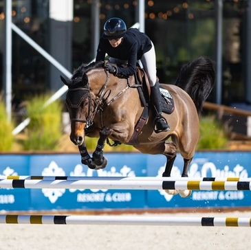Equestrian jumper clears obstacle with rider in competition.