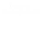 Discover 
The Aegis Model