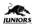 panthersjuniors.com