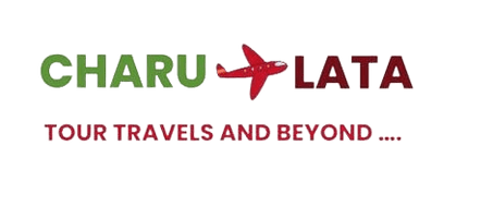charulatatravels.com