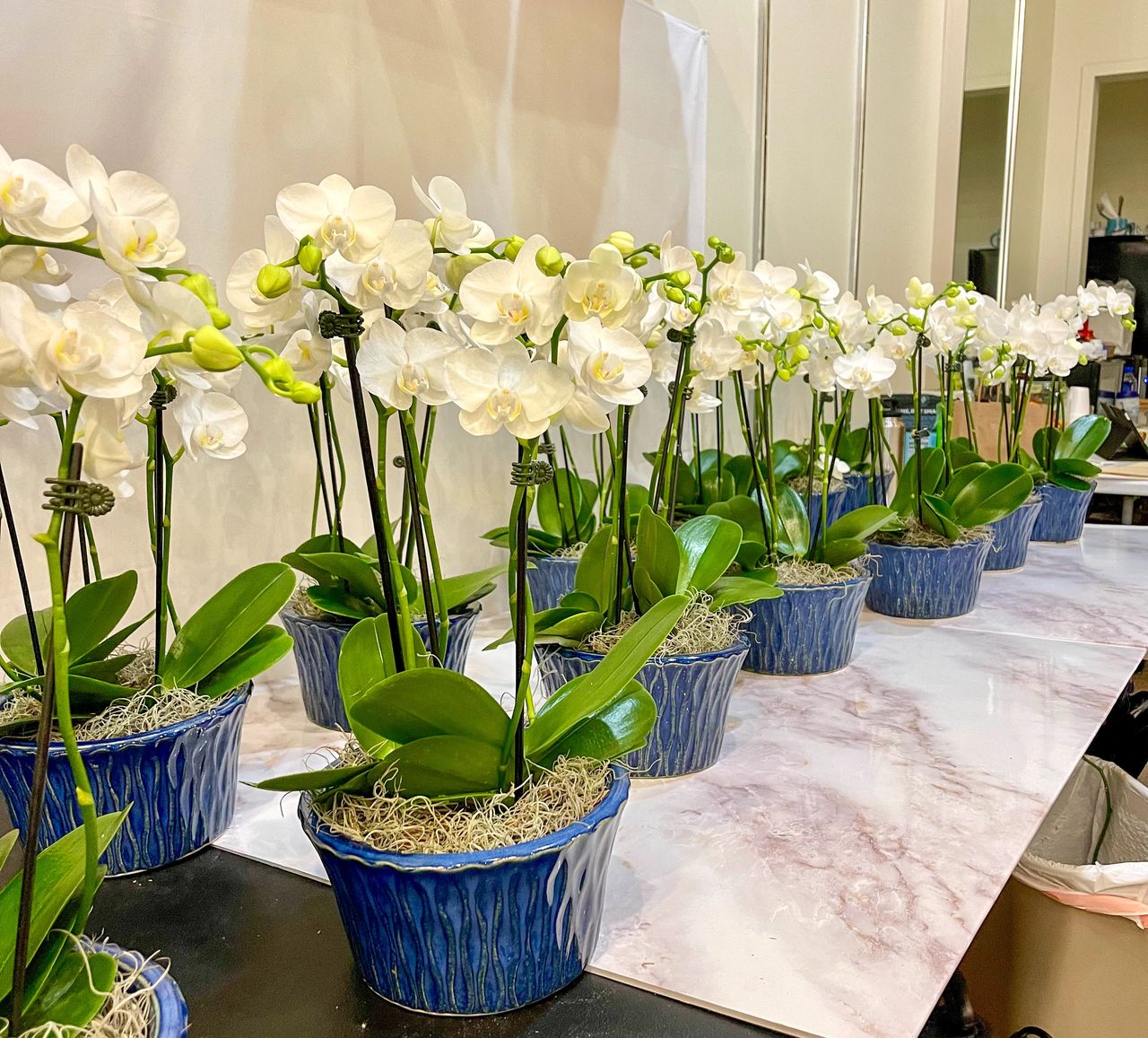 Orchid centerpieces for a corporate event