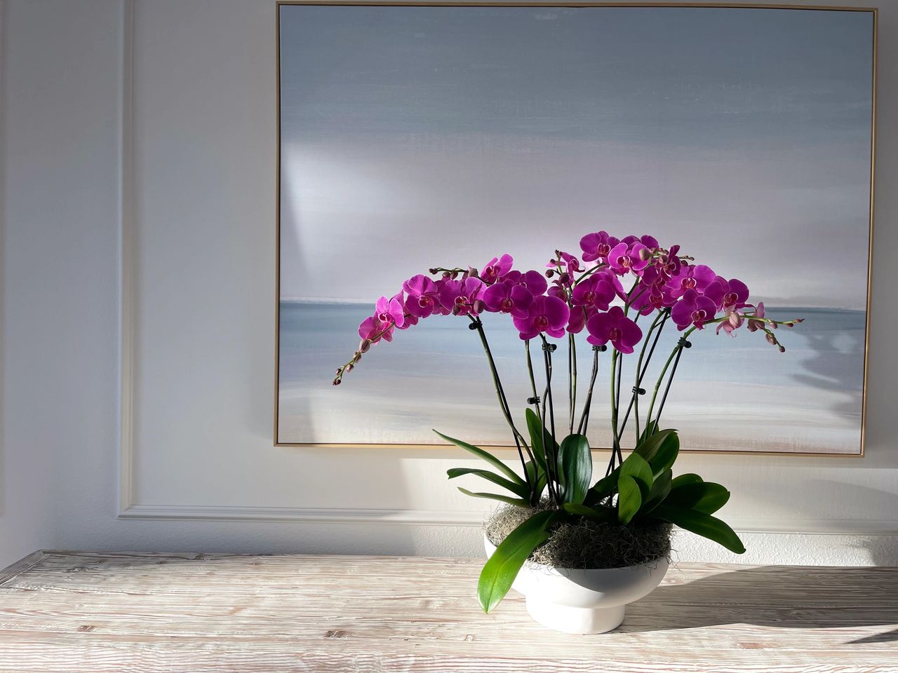 Orchid used for real estate staging