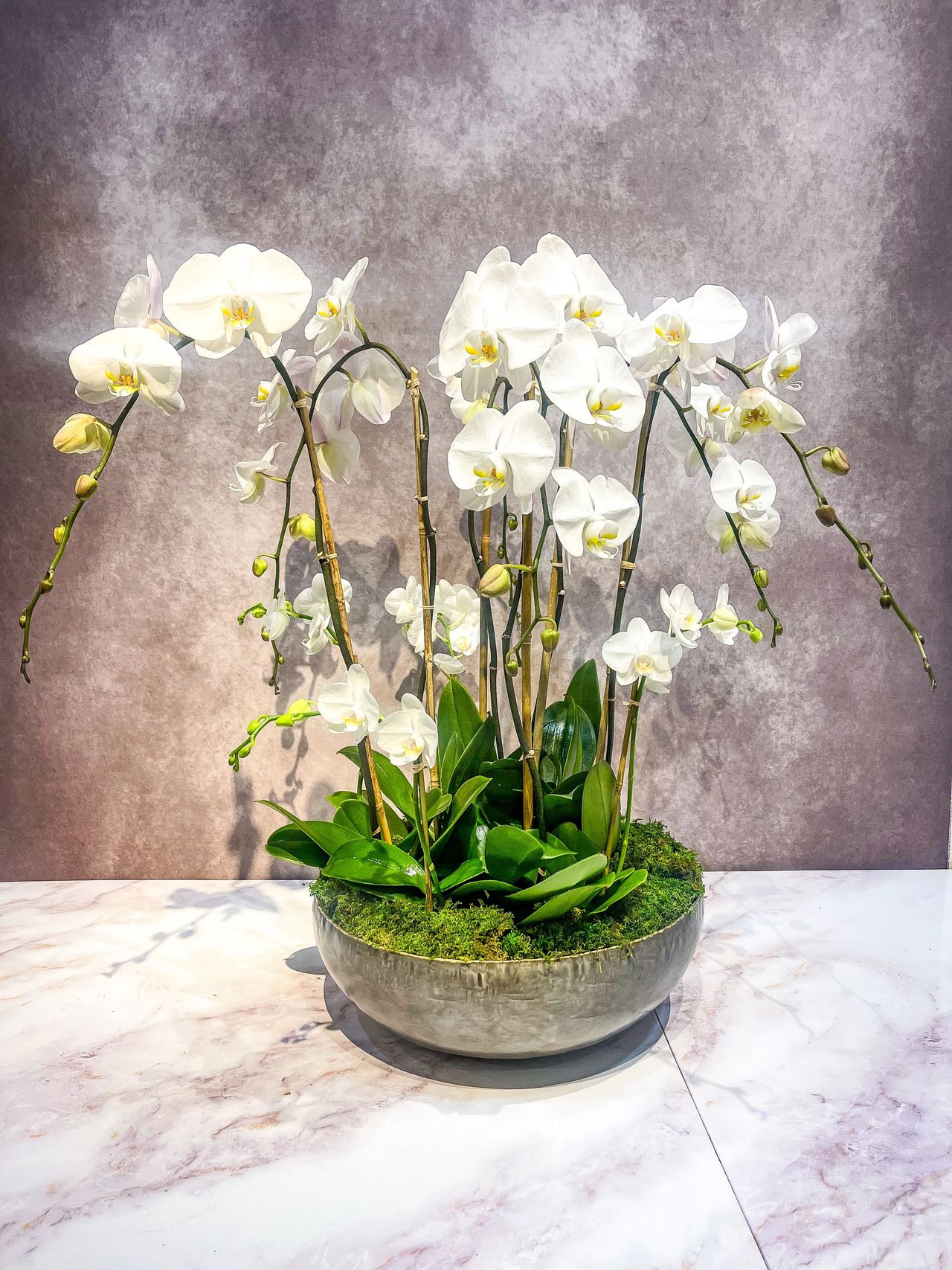Orchid centerpiece for wedding
