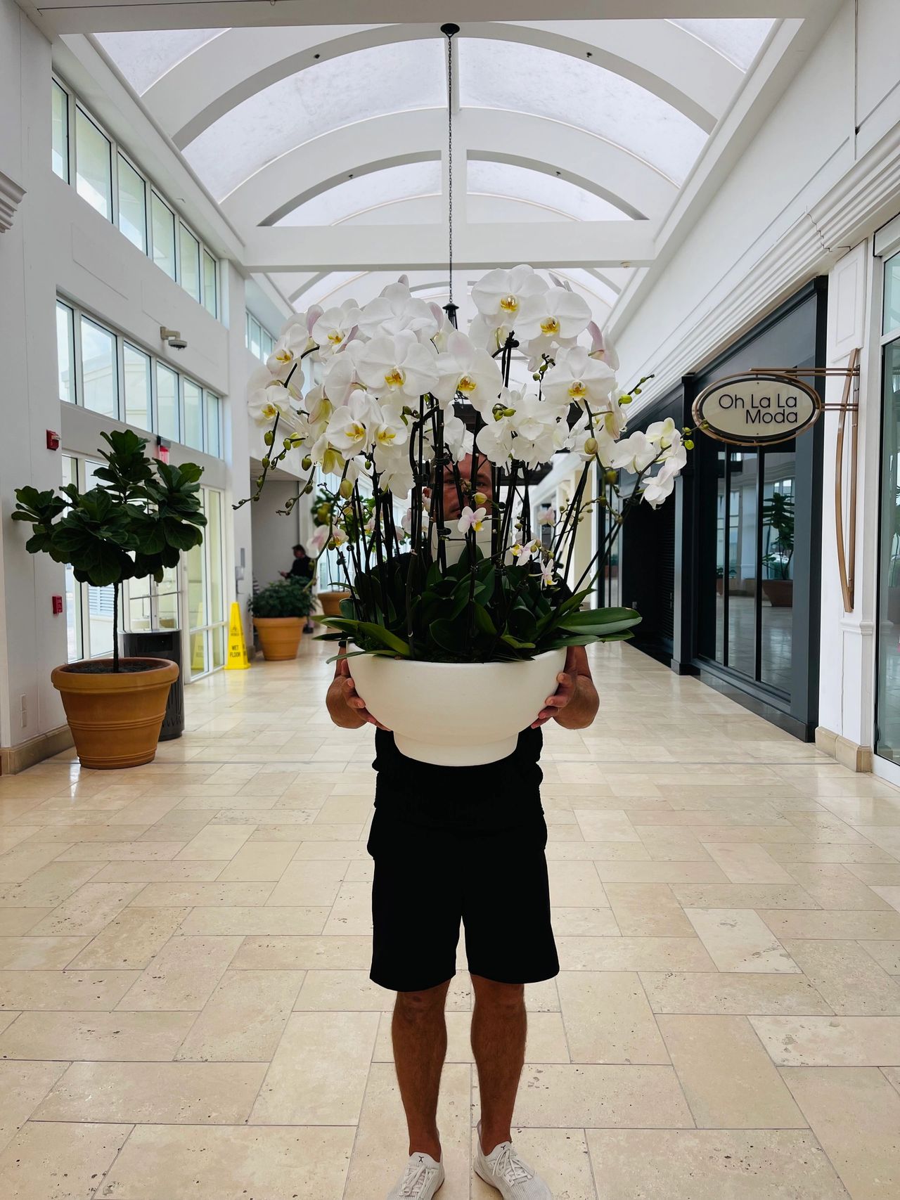 Large orchid arrangement for downtown client