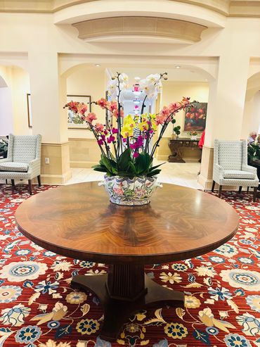 Orchid arrangement in lobby of Sarasota Bay Club