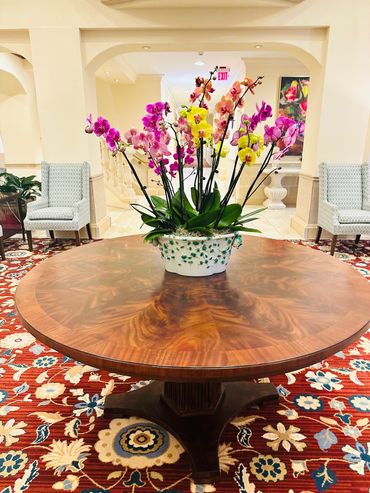 Orchid arrangement in lobby of Sarasota Bay Club