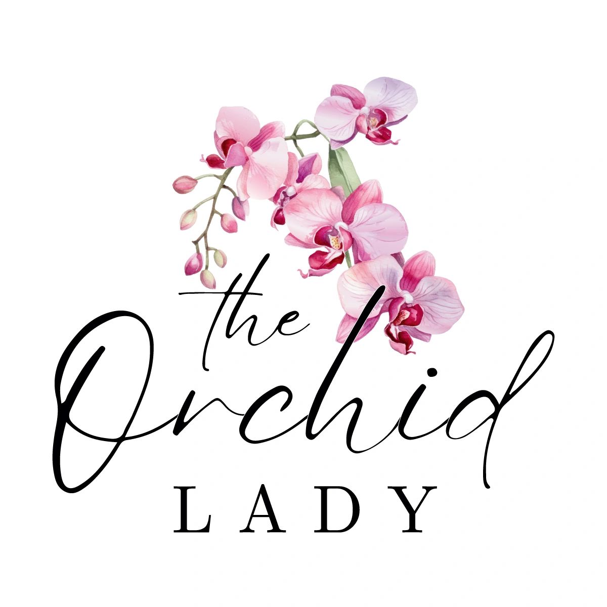 The Orchid Lady SRQ