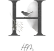 Haitian Music Industry