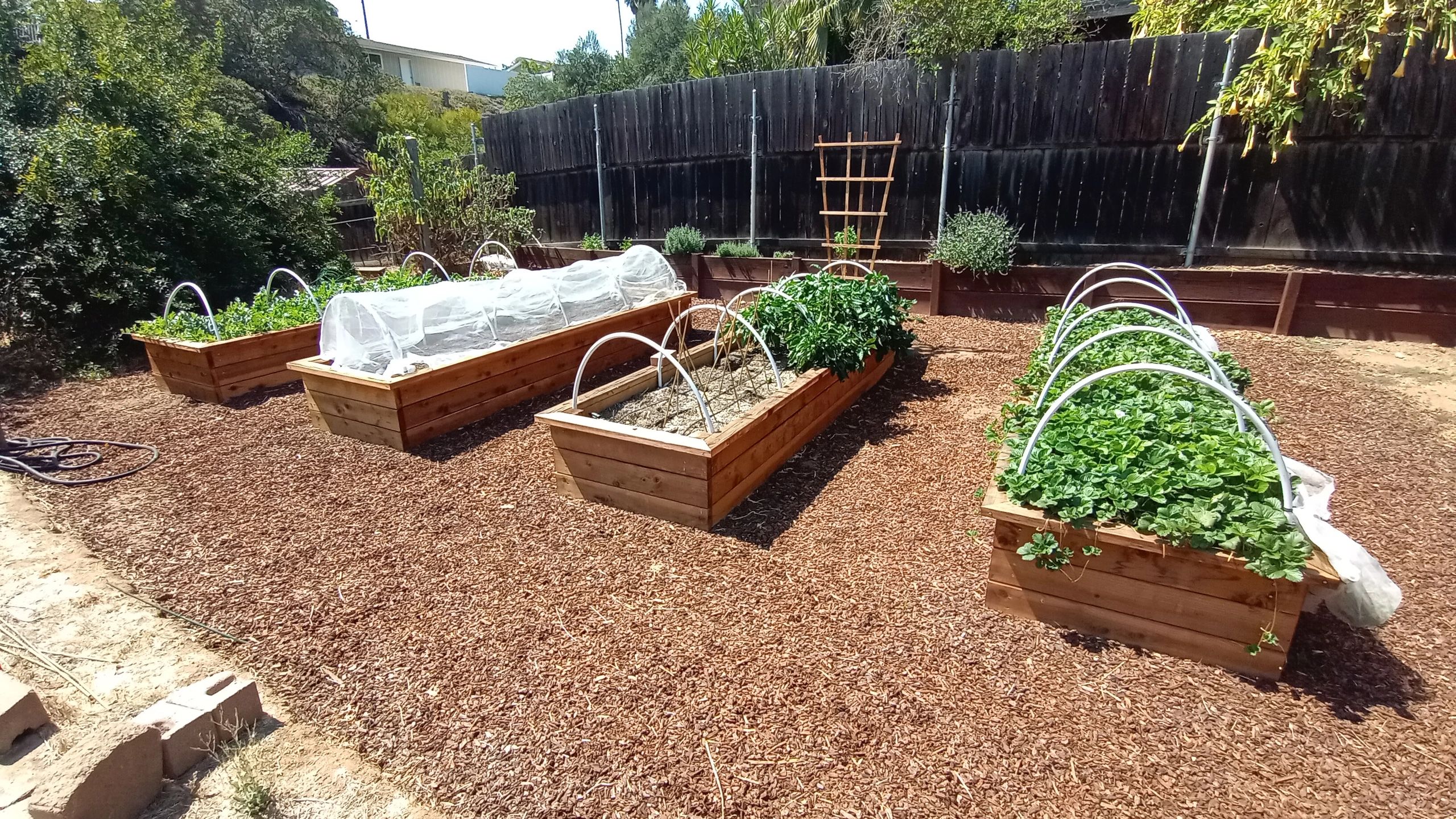San Diego edible Gardens