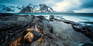 Rocky coastline in Lofoten, Norway with snowy mountain peaks in the background