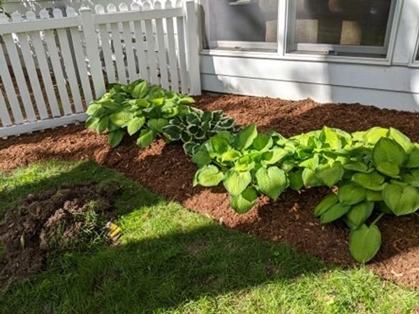 New garden bed with fresh mulch installed!