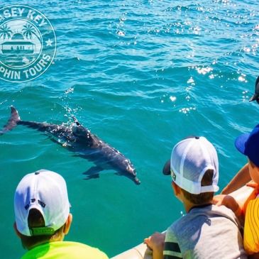 Casey Key Dolphin Tours
