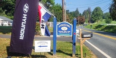 Signage for Hybridoma Farm offering organic fruit with a Hyundai flag beside it.