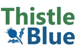 Thistle Blue Strategies