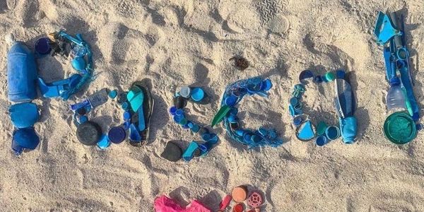 The name Pascal in the sand made out of shells