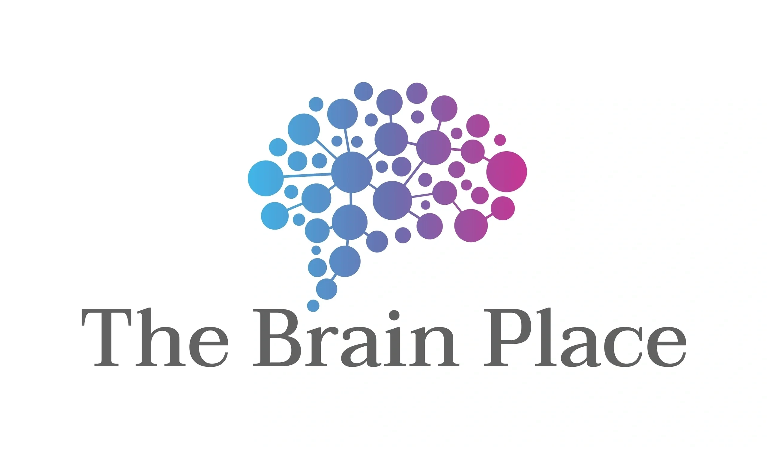 about-us-the-brain-place