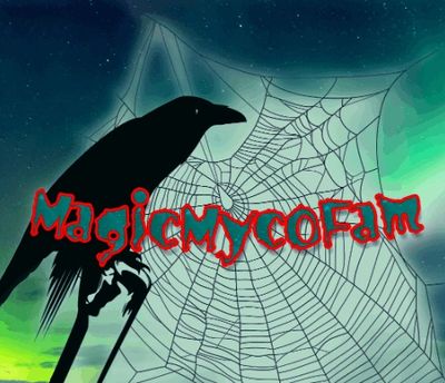 0xA17BbeB24c00e3b0EFf05687720cF7456662CBdb