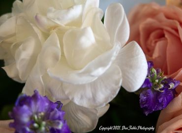 A Study of Roses
