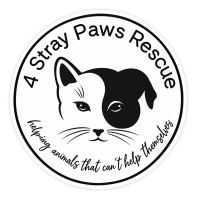 4 Stray Paws Rescue Ltd.