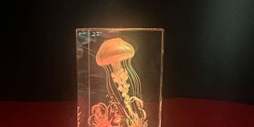 Illuminated jellyfish sculpture glowing inside a clear rectangular block.