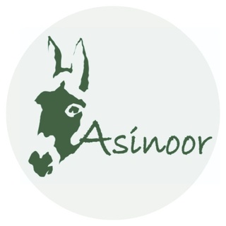 Asinoor