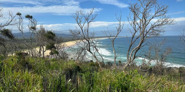 Coastal view with beach and ocean behind grassy hill and trees.