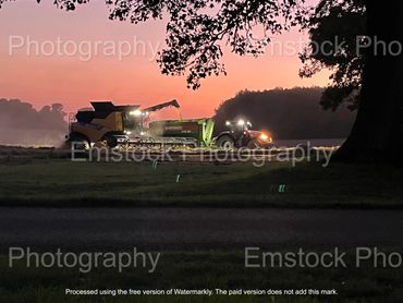 Night Time Harvest