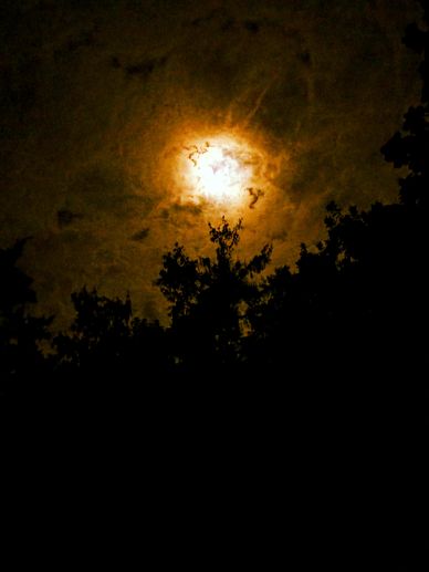 Moon glowing through cloudy night sky above tree silhouettes.