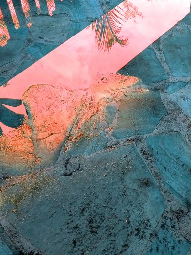 Reflection of a palm tree and sky on wet stone pavement.