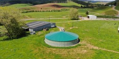 A large, round, green-roofed water tank in a rural grassy area.