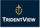 TRIDENTVIEW CONSULTING