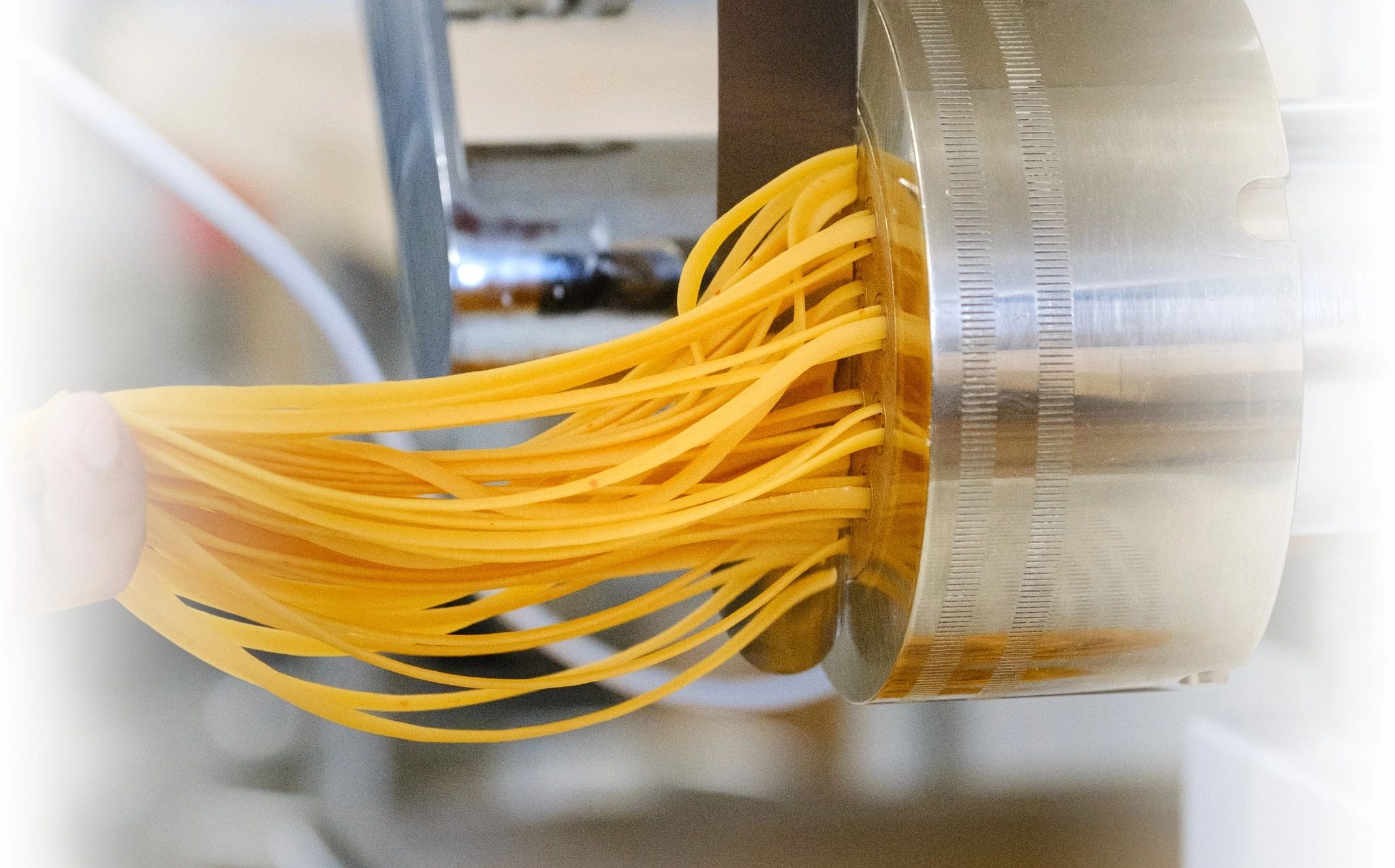 Fresh pasta strands being extruded from a pasta machine.
