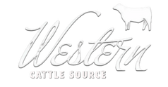 Western Cattle Source