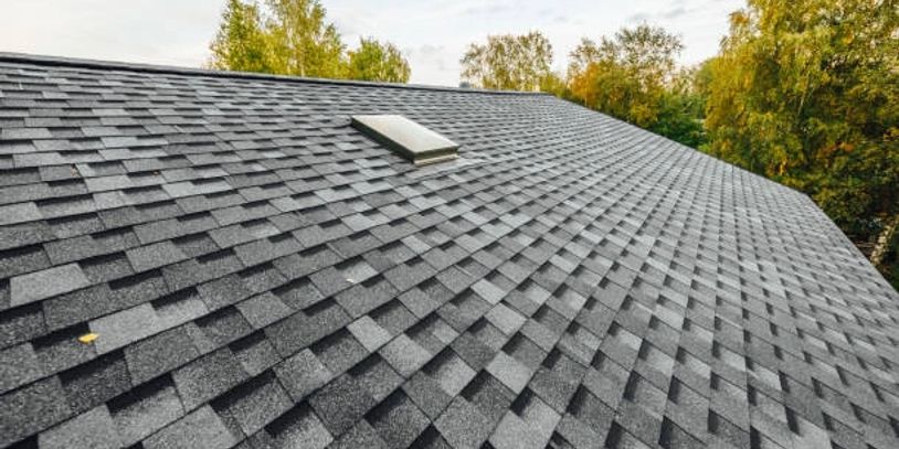 A rooftop with dark gray shingles and a skylight surrounded by trees.