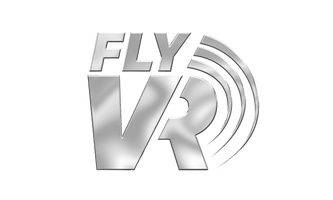 FlyVR