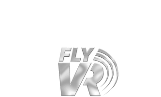 FlyVR