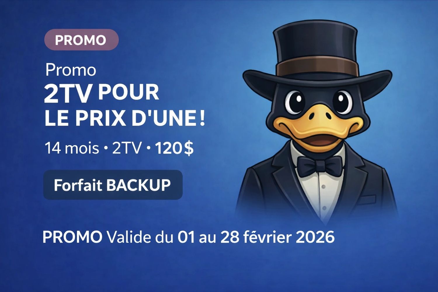 iptv cote nord, racoon tv, abonnement iptv quebec, iptv smarter, abonnement compatible firestick