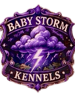 Baby Storm Kennels