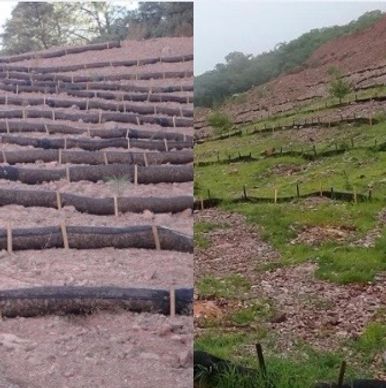 Parcelas de tierra en laderas con bordes de madera y vegetación.