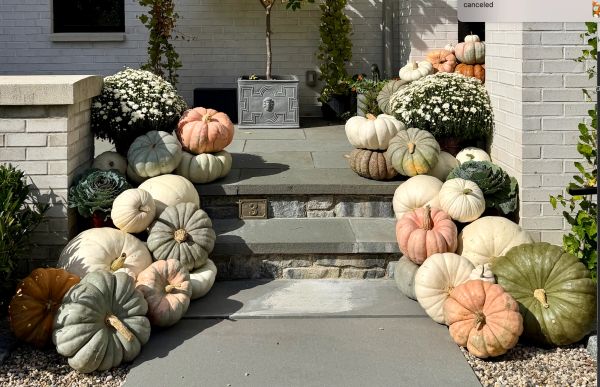 Platinum Porches - Fall Pumpkin Delivery Service