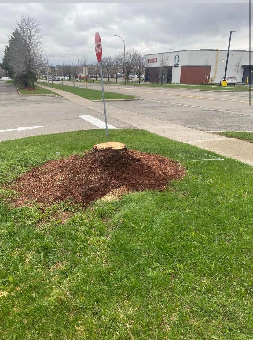 Stump Boss work sample 5