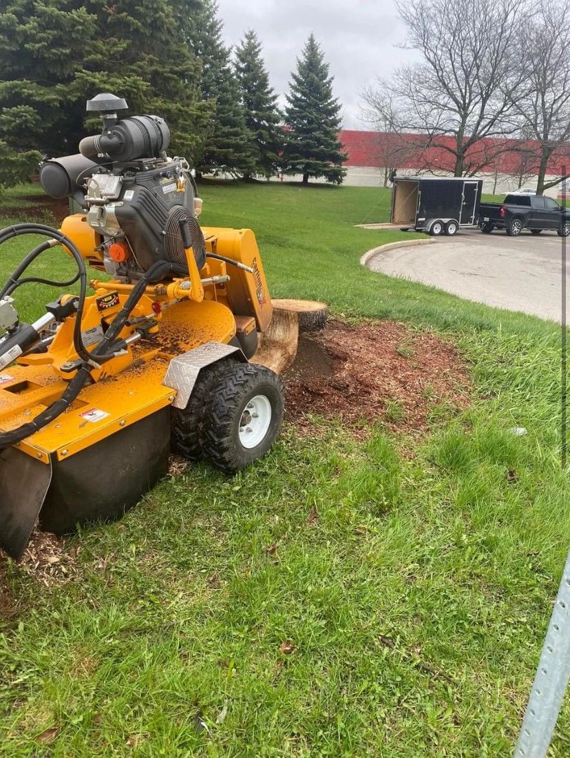 Stump Boss work sample 6