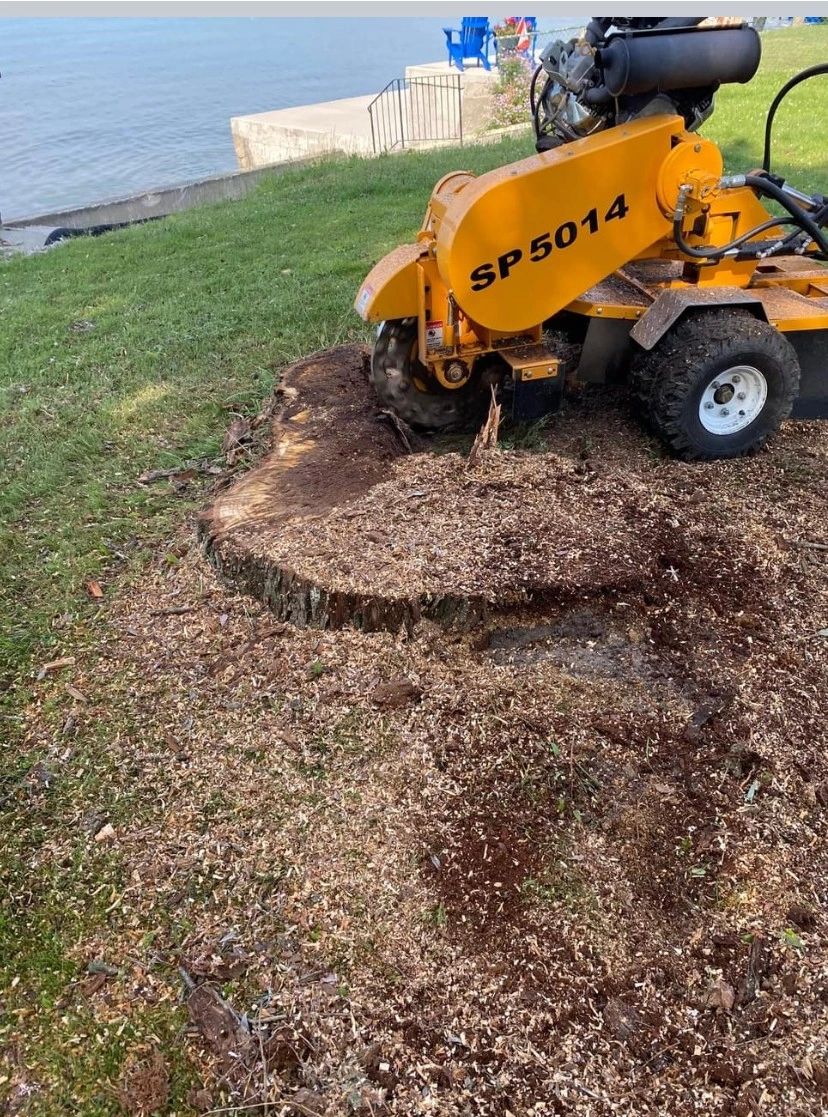 Steve's Stump Grinding work sample 4