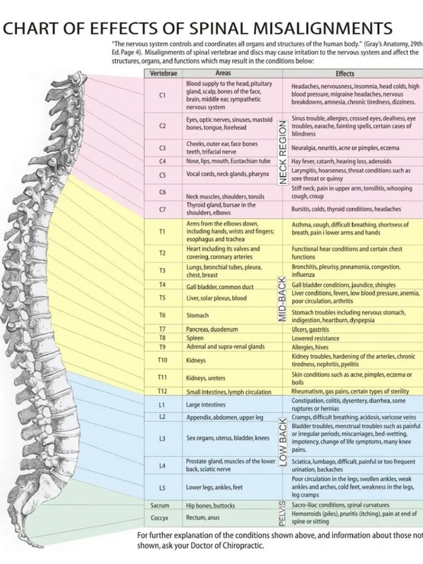 Athletes  Perreault Chiropractic and Acupuncture