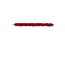 NOIYSE PROJECT