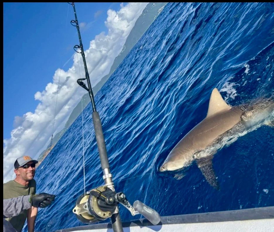Good Times Charters