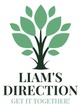 Liam's Direction