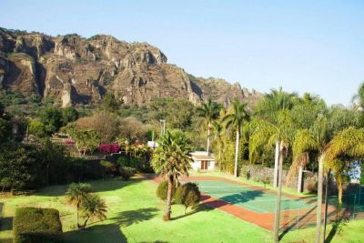 Vista de un jardín con palmeras y montañas al fondo.